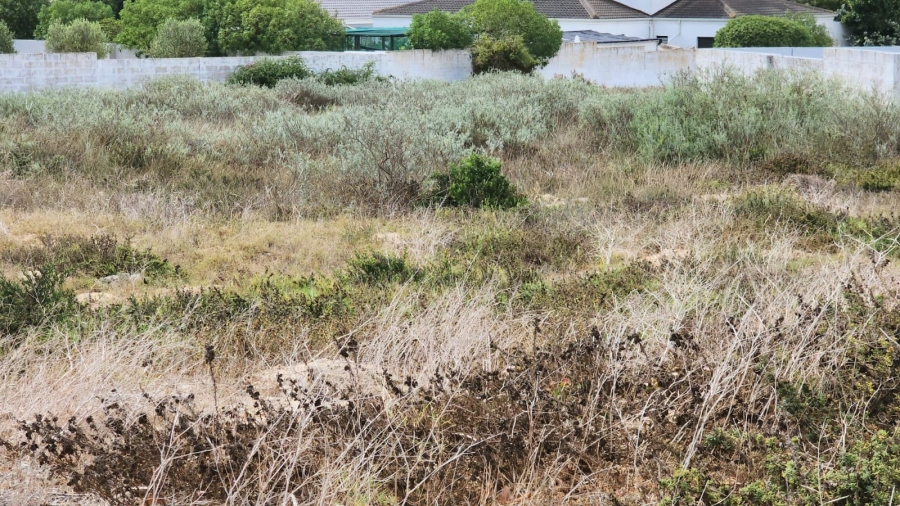 0 Bedroom Property for Sale in Country Club Western Cape